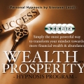 Wealth pack cd cover