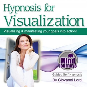 Visualization cover