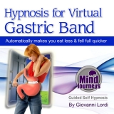 Gastric band cover